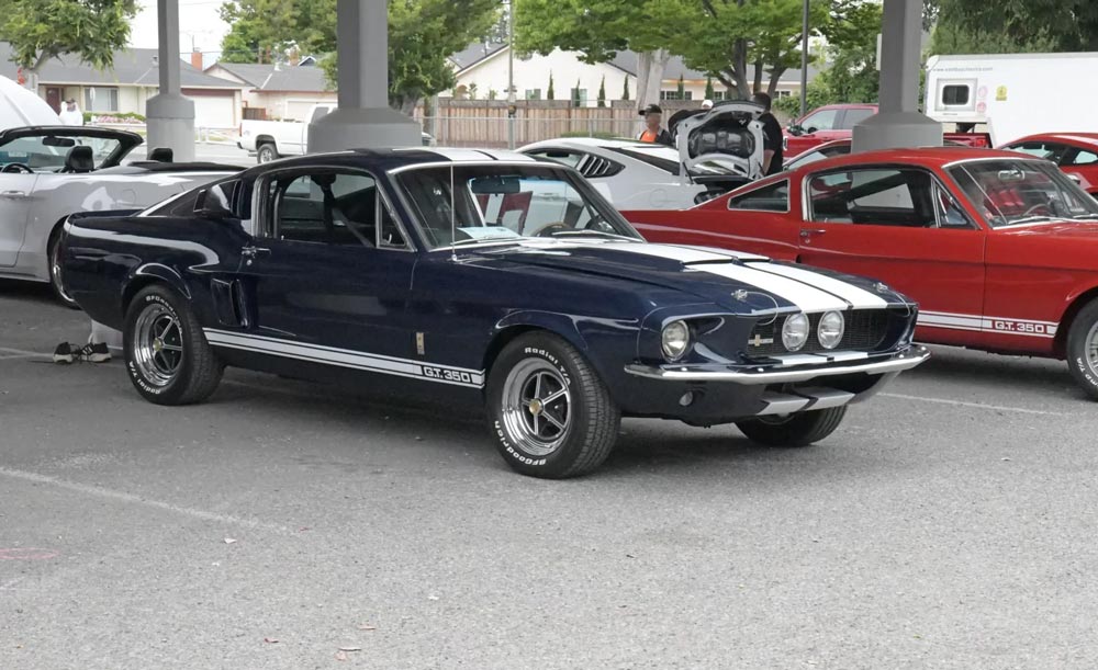 1967 GT350